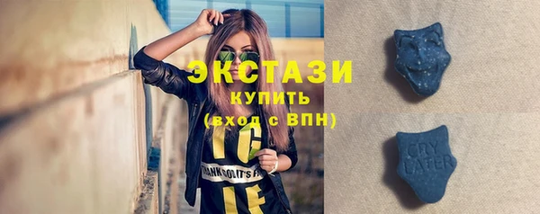 индика Новозыбков
