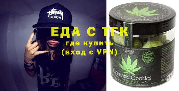 индика Новозыбков