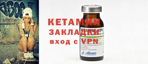 индика Новозыбков