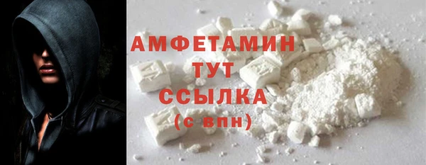 индика Новозыбков