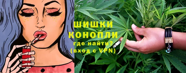 индика Новозыбков