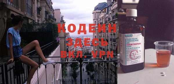 индика Новозыбков