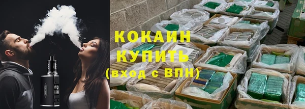 стафф Новодвинск