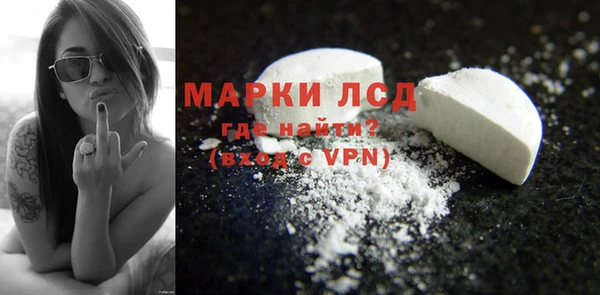стафф Новодвинск