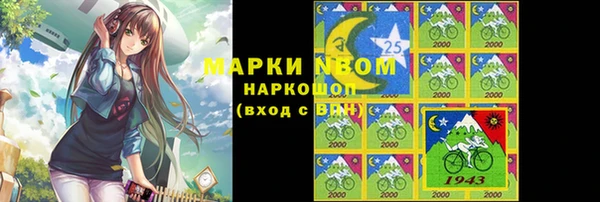 стафф Новодвинск