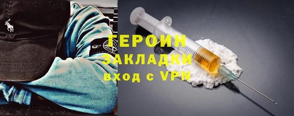 индика Новозыбков