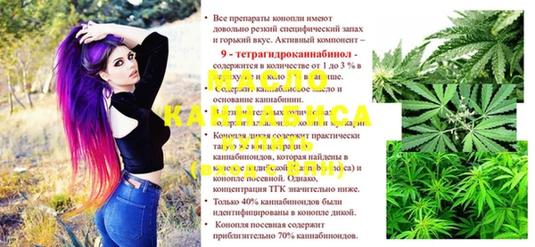 индика Новозыбков