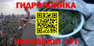 ГАЛЛЮЦИНОГЕННЫЕ ГРИБЫ Гагарин